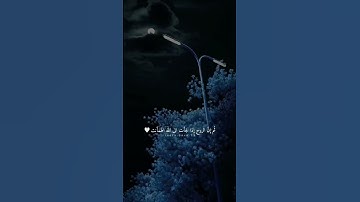 راحة نفسية ❤️ تلاوة خاشعة تهدي القلوب 🎧 #اكسبلور #لايك #دعاء #حاله #تلاوة #قرآن #ترند