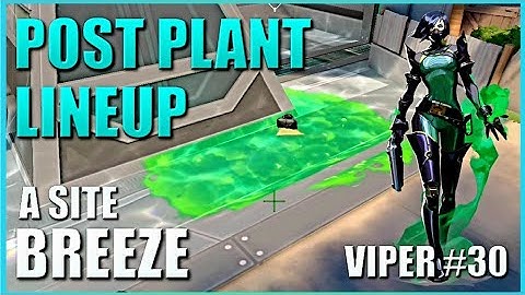 VIPER LINEUPS - BREEZE - Post Plant Snake Bite Setup Guide #30 - A Site