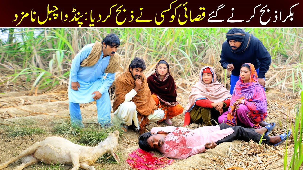 //Bhootna,Shoki, Bilo jagga Cheena & Sanam Mahi New Funny Video By Rachnavi Tv2