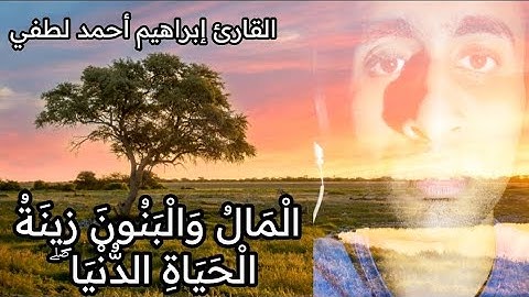 تلاوة تحبيرية✨ فاقت الجمال من سورة الكهف🫒(الْمَالُ وَالْبَنُونَ ) القارئ إبراهيم أحمد لطفي.