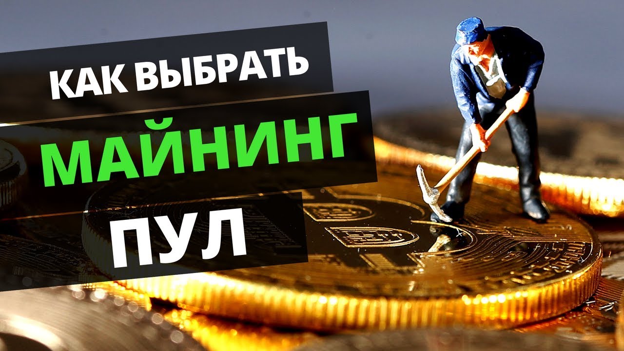 Кто зарабатывал на газелях Кто зарабатывал на газелях