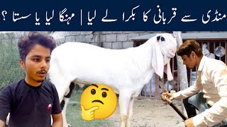 Mandi Se Qurbani Ka Bakra Le Liya ?? | Mehenga Liya Ya Sasta ?