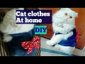 DIY Cat Clothes | how to make Cat dress at home | easy to make persian cat clothes | CHUBBY MEOWS
