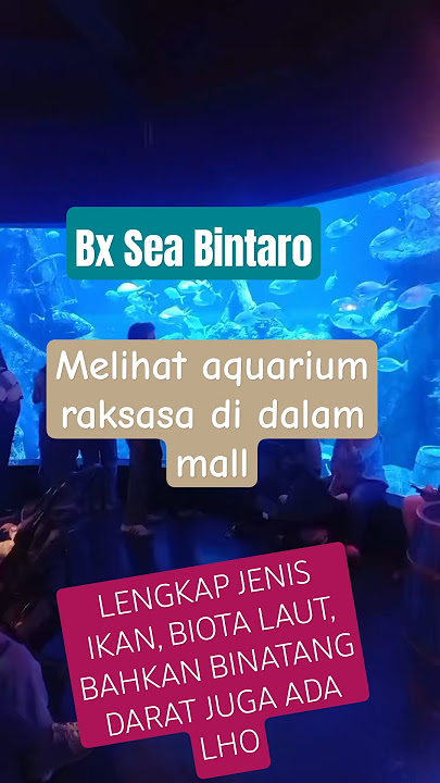 Download lagu rekomendasi liburan keluarga,melihat keindahan aquarium raksasa di dalam mall #liburan #aquarium