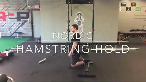 Nordic Hamstring Hold - Rehab 2 Perform