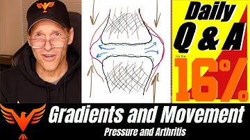 Q&A for The 16% - Movement, Gradients, Pressure, and Arthritis - BillHartmanPT.com