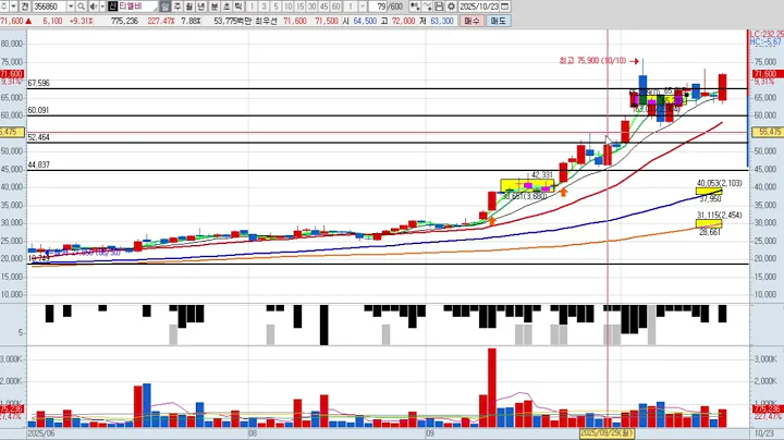 티엘비 13차 356860 패턴분석 및 투자전략 (기술적 분석)