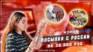 Посылка из России для Макса/Диета накрылась!/Лечим бультерьера от аллергии/KOREA VLOG