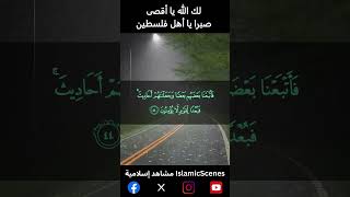 ثم ارسلنا رسلنا تترا