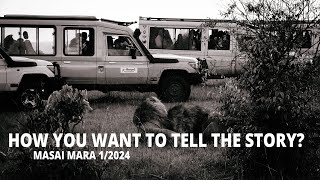 How you want to tell the story - lions at Masai Mara Kenia