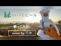 【歌ってみた】眉村ちあき/緑のハイヒール