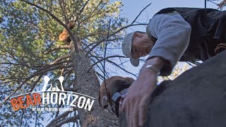 Bear Hunting w/ HOUNDS & MULES  in New Mexico | Bear Horizon Ep 6