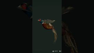 2 diamond birds on salzweisen park!!💎🥳 #cotw #sniped #cotwgameplay #hunting #diamond