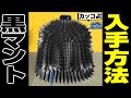 【ロブロックス】ブロックスフルーツの新世界で入手できる黒マントの入手方法!!【Robox】