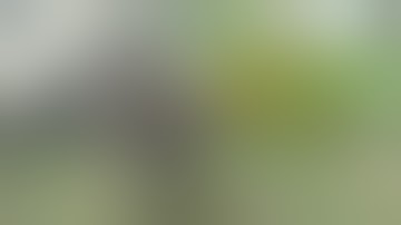 SCUM PVP compilation #2