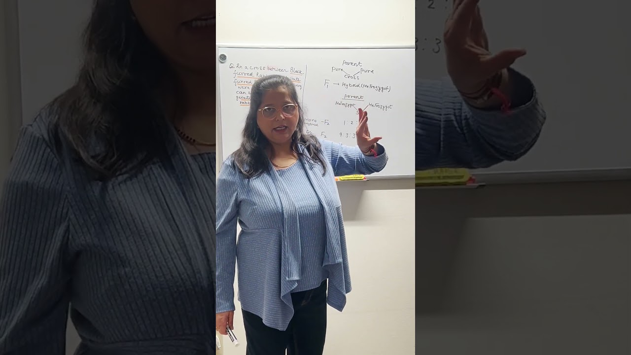 Most Important Heredity Numerical Practice