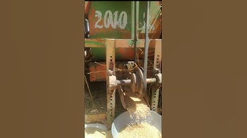 Separation of wheat grain and  | #shortsvideo #youtubeshorts