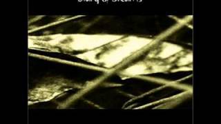 Diary of Dreams - Between the Clouds