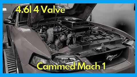 Cammed 4v 4.6l Ford Mustang Mach 1 on E85 | Dyno Review