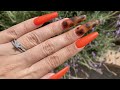 Tortoise Shell Nails using the Aprés dupe method!