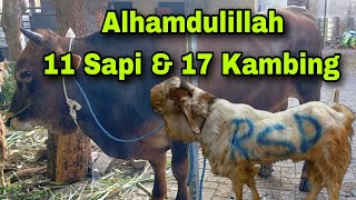 Alhamdulillah, Qurban Tahun 2023 terkumpul 11 Sapi & 17 Kambing di Masjid Hidayatul Ummah