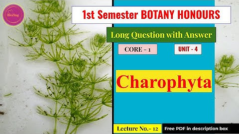 L12 Important Long Questions & Answers on Core 1 Unit 4 | 1st sem | BSc Botany Hons | #viralvideo