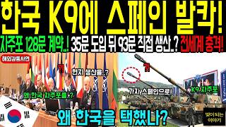 [Overseas Success Story] South Korean Self-Propelled Howitzers Enter Western Europe! European Def...
