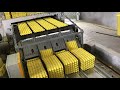 Fully automatic egg tray production line  packing system