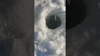 Большая Щука #казахстан #рыбалка