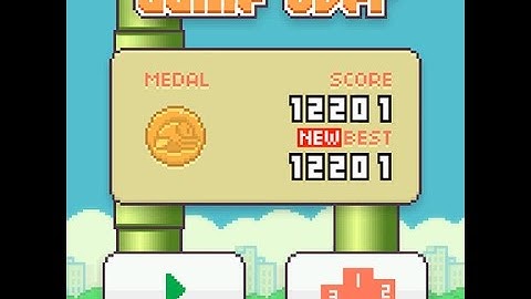 Pro Flappy Bird