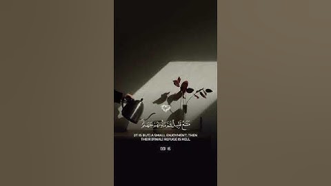 #quran #إسلام_صبحي #سورة_يس #القرآن_الكريم #تلاوة_خاشعة #تلاوة_خاشعة_تلاوة_هادئة #ارح_قلبك #حالات