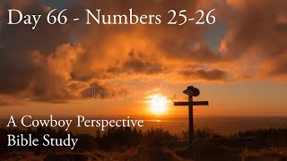 Day 66 | Chronological Bible in One Year | Census of the new generation 