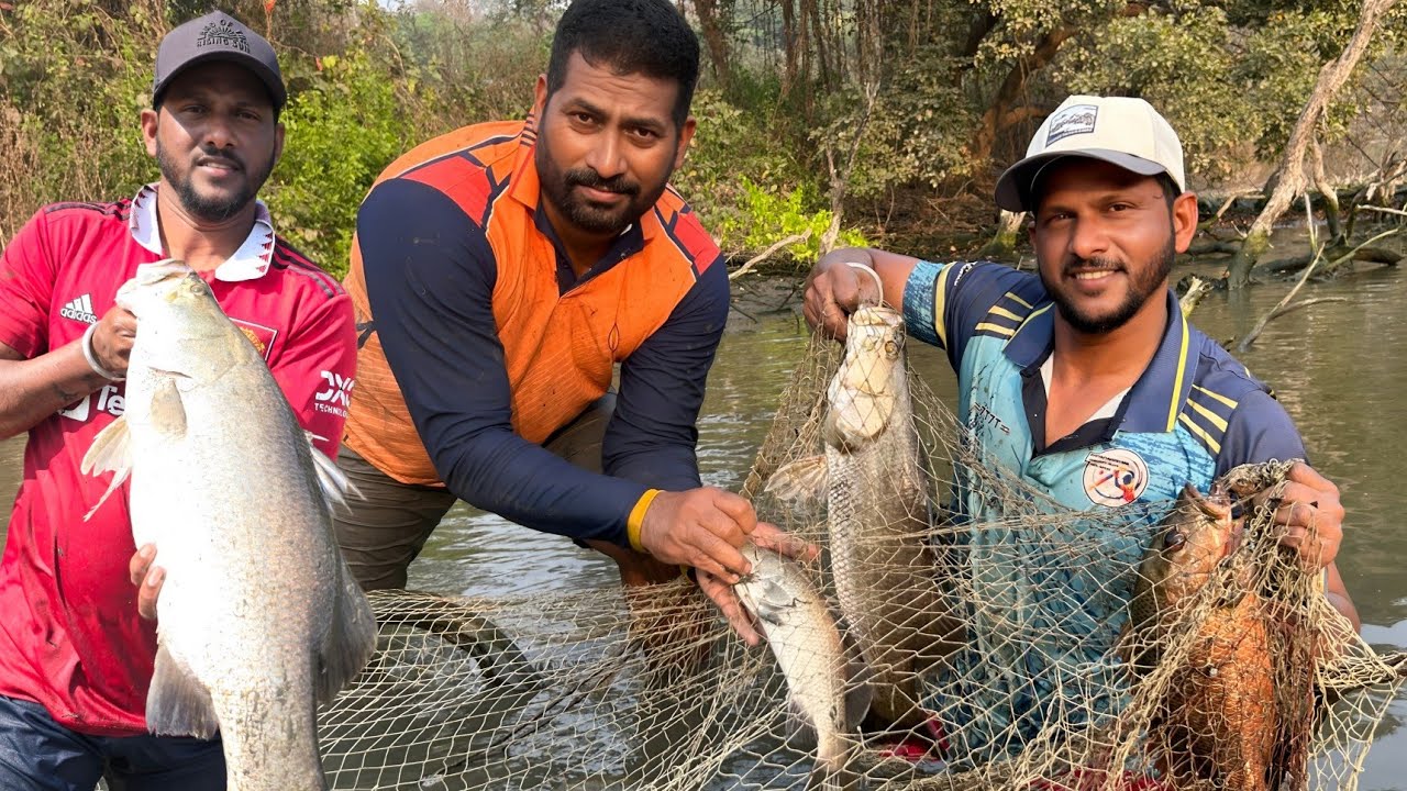 बांबूने ने मारला जिताडा | Dangerous Barramundi Fishing | Big Fish | आगरात जिताऱ्यांचा पाऊस, Big size