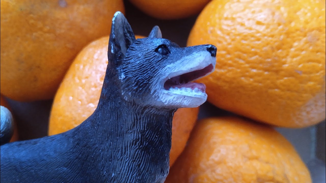 шляйх клип/🍊Мандарин🍊 - YouTube