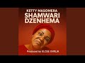 Shamwari Dzenhema