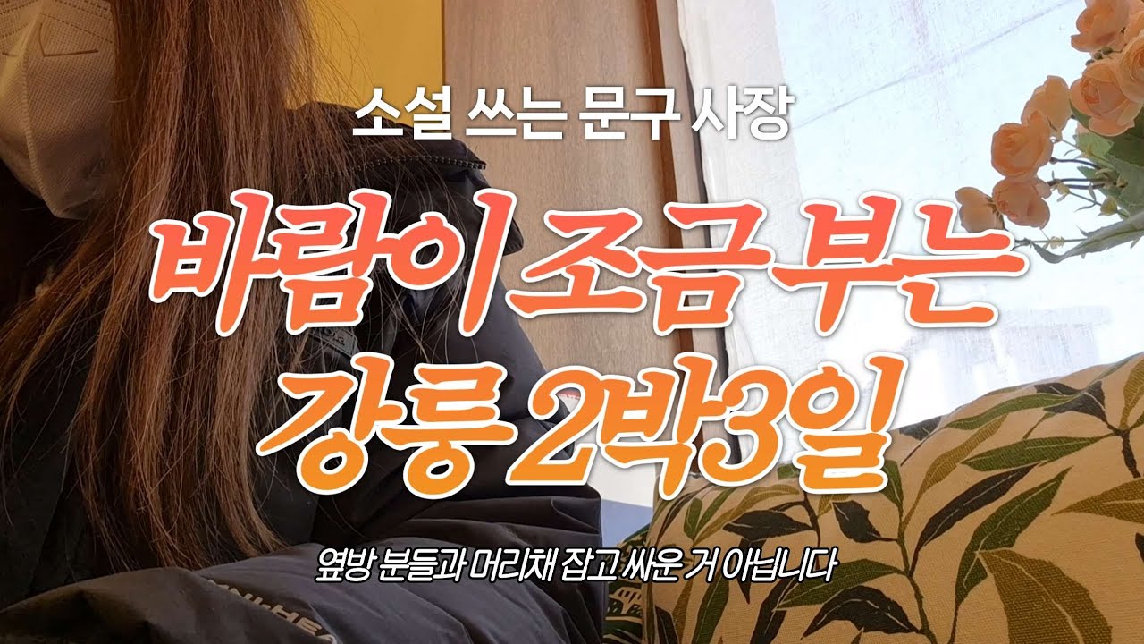 강풍에 머리채를 티기고티기고티기고 강릉 브이로그