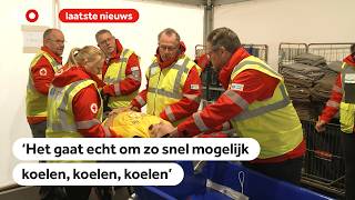 Thumbnail for Hitteberoertes onder hardlopers