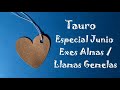 ♉️TAURO🙀 ¡Por Fin! Reconoce Su Error 🙀 Horóscopo Junio Almas/Llamas Gemelas Exes