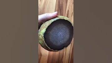 Enhydro Agate Water Agate with moving bubble