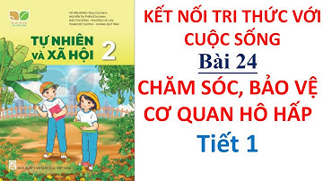 Tự nhiên và xã hội lớp 2 - Bài 24 Chăm sóc, bảo vệ cơ quan hô hấp | Kết nối tri thức