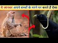 देखिये ये जानवर कैसे अपनों के मरने का शोक मनाते है | How does this animals say goodbye to the dead |