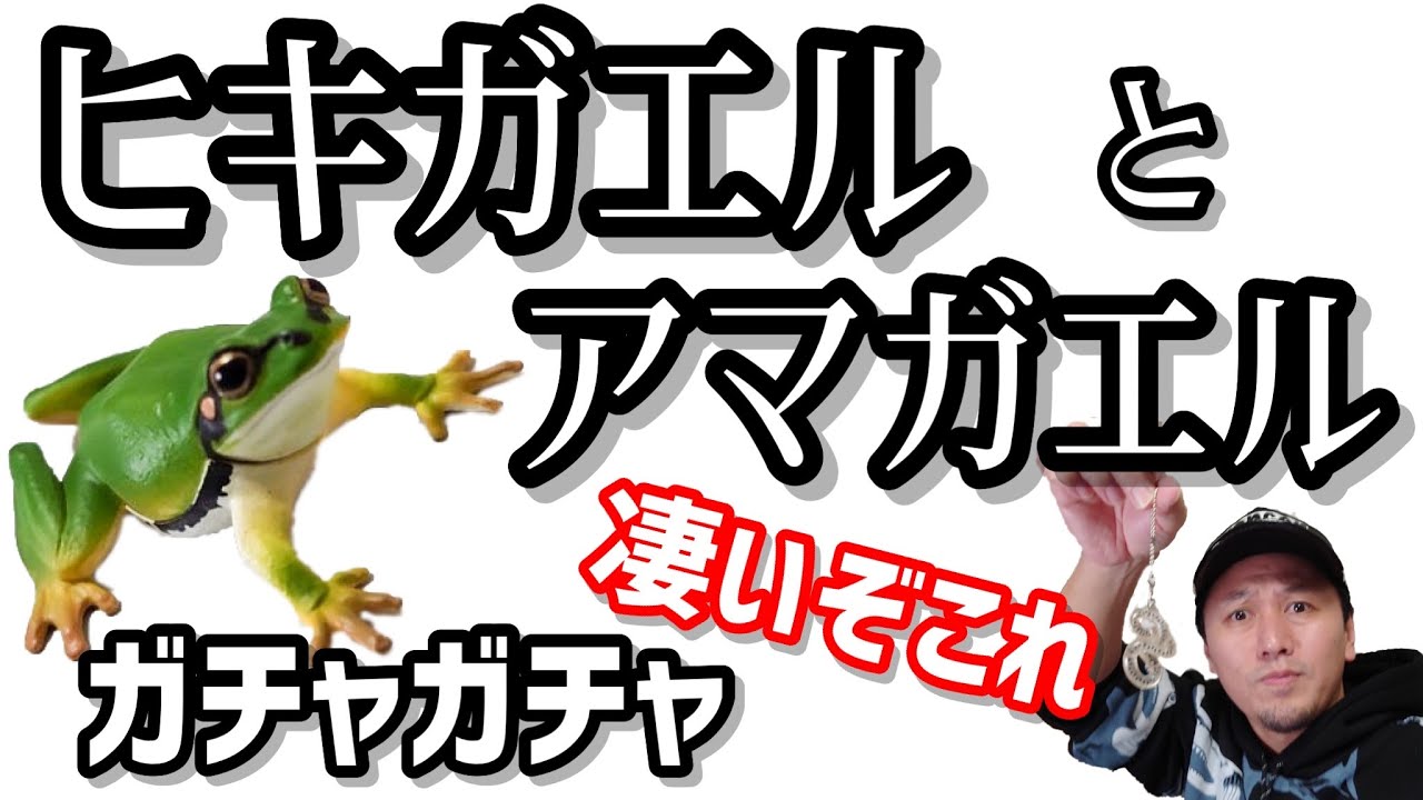 ガチャガチャ】カエルの進化がもう【ヒキガエルとアマガエル】開封
