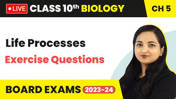 Life Processes - Exercise Questions | Class 10 Biology Chapter 5 (LIVE)