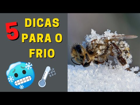 Vídeo: Como Se Livrar Das Colmeias: 15 Maneiras