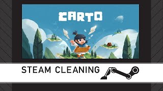 Steam Cleaning - Carto