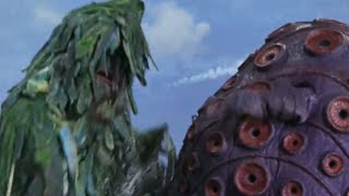 Takkong vs Zazahn