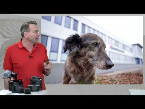 Sony Mini Primes - Objektive für Hütchenspieler..und ich bin unscharf  ;-)