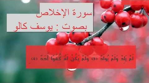 سورة الإخلاص - بصوت يوسف كالو