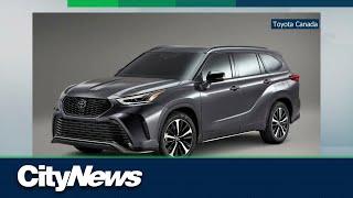 Federal government announces crackdown on vehicle thefts