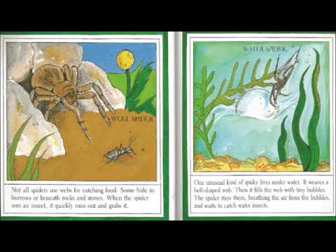 pic Spiders By Gail Gibbons Read Aloud itsstorytime ep 2 spiders by gail gibbons read aloud